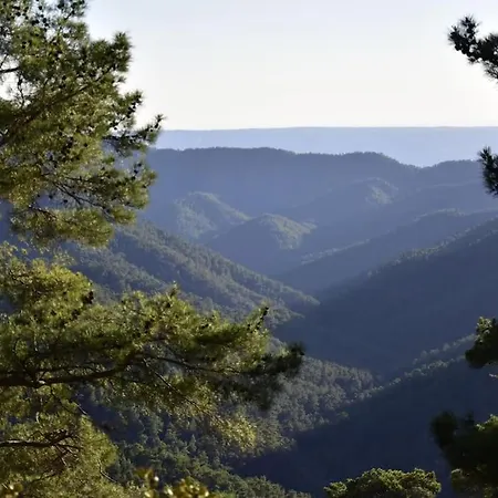 The Mountain House - Escape Life