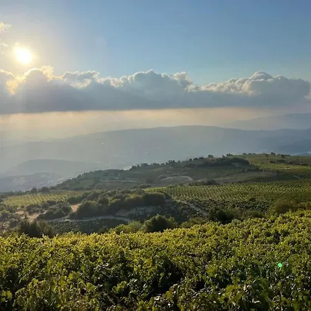 The Mountain House - Escape Life Daire *