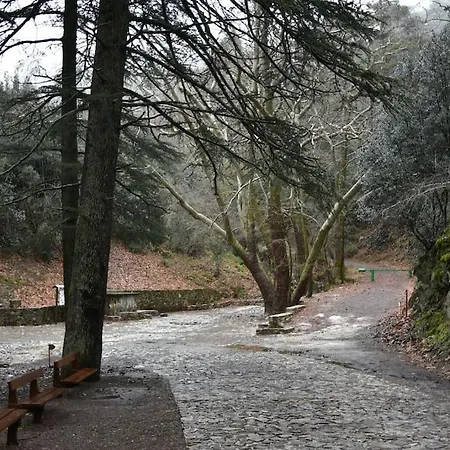 The Mountain House - Escape Life