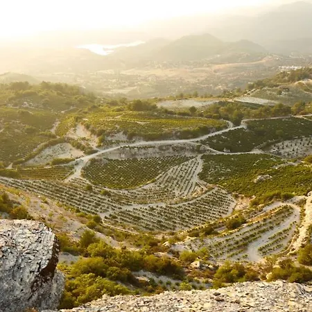 The Mountain House - Escape Life