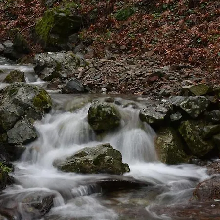 Daire The Mountain House - Escape Life