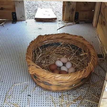 The Mountain House - Escape Life Paphos