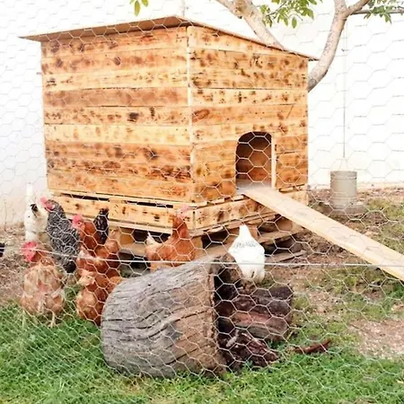 Daire The Mountain House - Escape Life Pafos