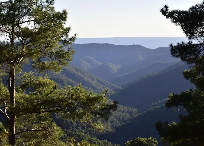 The Mountain House - Escape Life