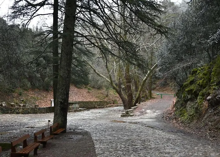 The Mountain House - Escape Life