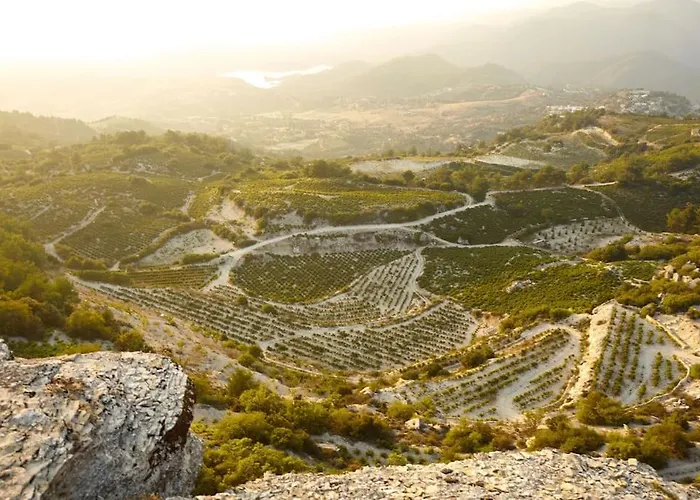 The Mountain House - Escape Life