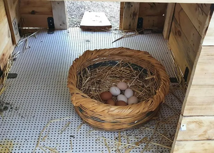 The Mountain House - Escape Life パ フォス