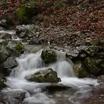 Daire The Mountain House - Escape Life